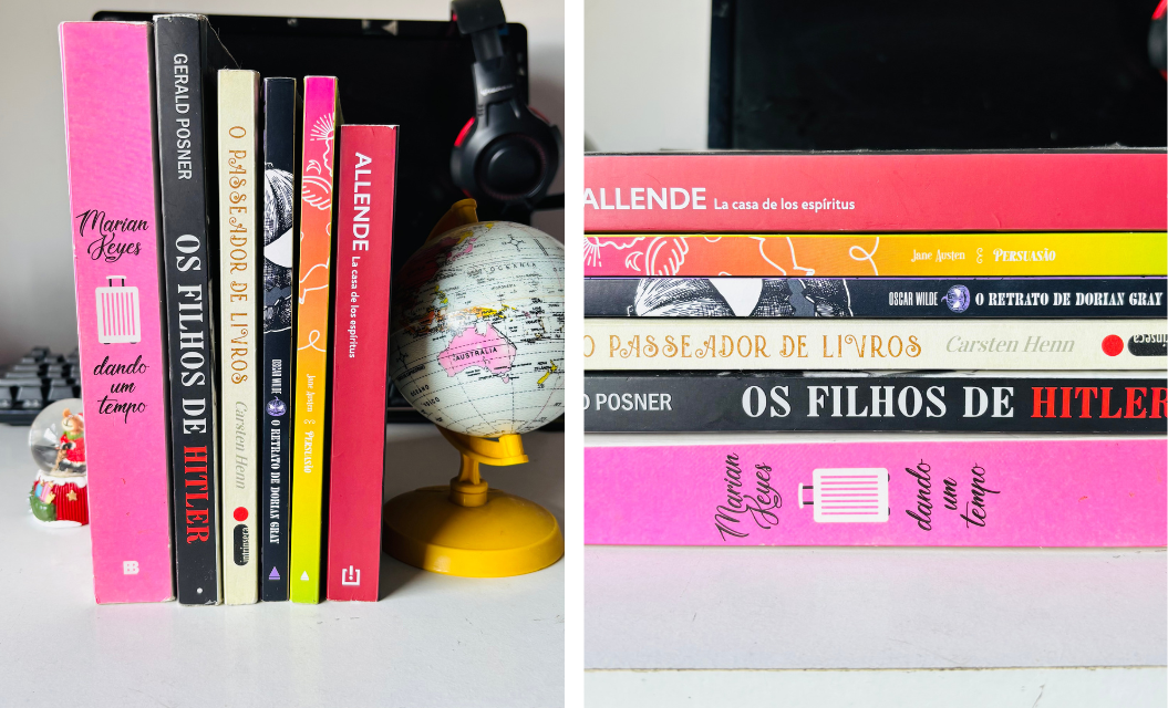 Dia do Leitor e os livros que li em 2024